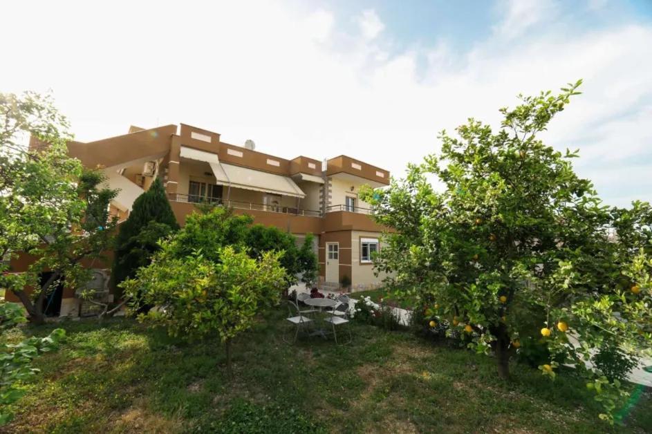 Vila Agolli Vlorë Exterior foto