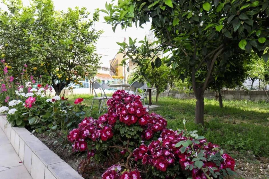 Vila Agolli Vlorë Exterior foto
